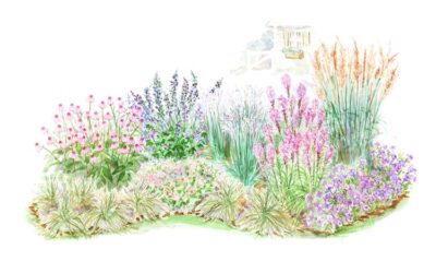 Spring Spotlight: Planting Ornamental GrassesTitle